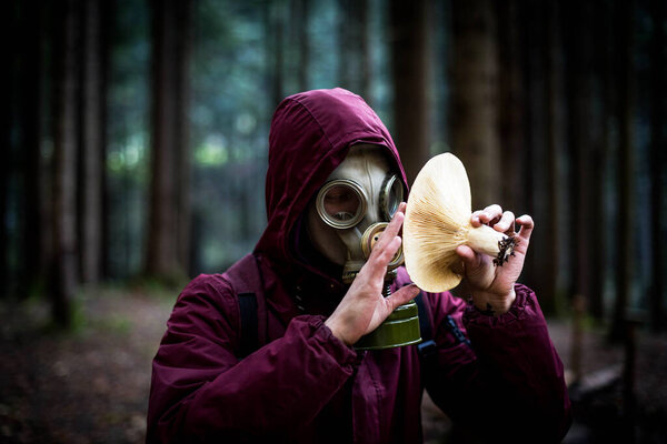 Ecological catastrophy. Post apocalyptic survivor in gas mask. Man at forest with mushrooms.