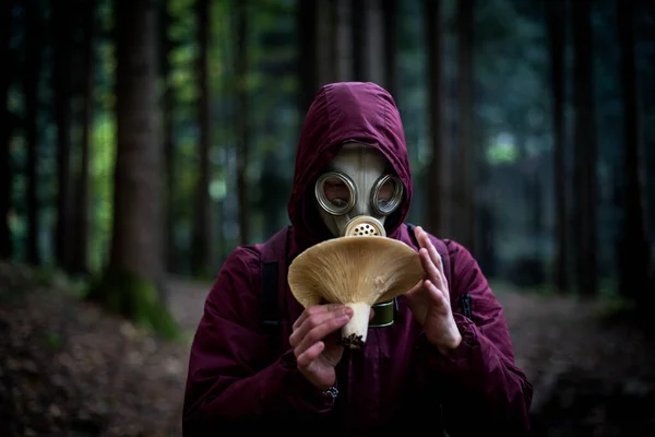 生态多样性 戴防毒面具的末日后幸存者森林里有蘑菇的人 — 图库照片