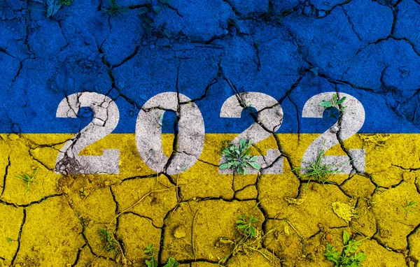 Food crisis. World hunger. Failed grain crops. The shortage of bread. Drought and crop failure. The global threat of hunger around the world. Dry land. Economic crisis. War in Ukraine. 2022