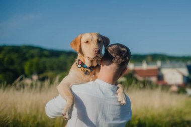 Şehir manzarası arka planında genç bir adamın omzundaki labrador portresi.