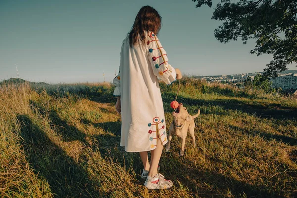 Woman Traditional Ukrainian Clothes Plays Labrador Dog Ball Field Beautiful — ストック写真