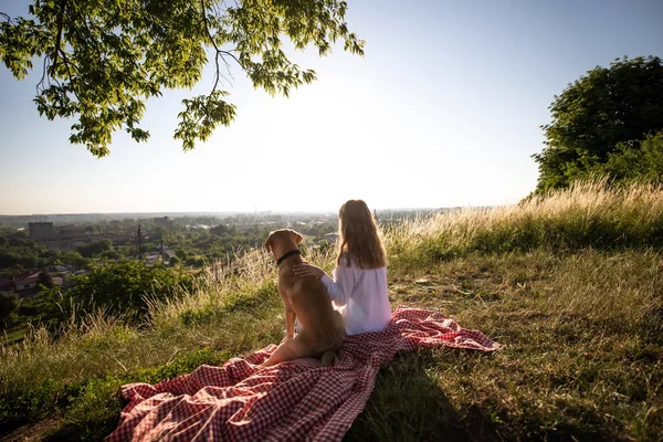 Young Girl Sits Labrador Dog Dawn Checkered Blanket Breathtaking View — 图库照片