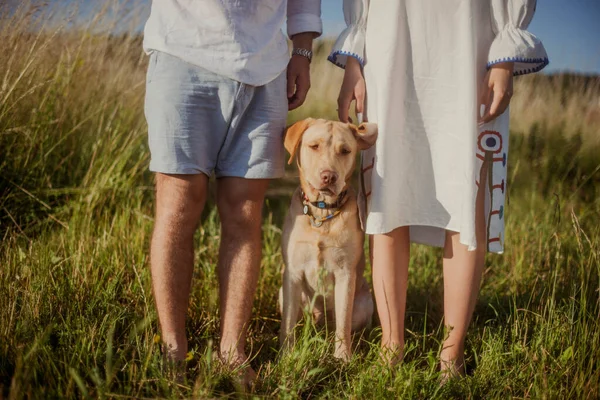 Labrador Cão Fica Campo Entre Proprietários Casal Está Vestido Com — Fotografia de Stock