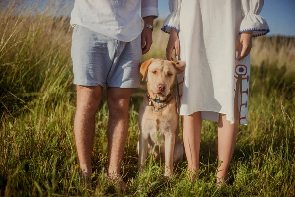 Labrador Cane Trova Campo Tra Proprietari Coppia Sposata Vestita Abiti — Foto Stock