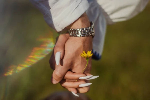 Close Caucasian Man Woman Couple Hands Holding Flower Summer Garden — ストック写真