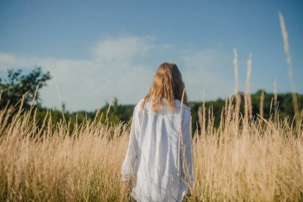 Beautiful Girl Dressed Ukrainian National Clothes Stands Middle Field Freedom — Stockfoto