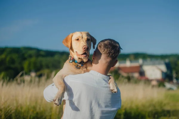 Portrait Labrador Shoulder Young Man Field City View Background — 스톡 사진