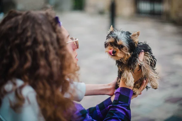 Kollarında Bir Kızla Oynayan Güzel Bir Yorkshire Teriyeri Köpeği — Stok fotoğraf