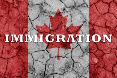 Kuraklıkta ağaçların büyümesi, ağaç kuraklıklarıyla yaşamak..