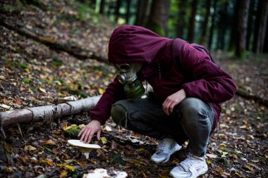 a guy in a gas mask sits in the middle of the forest and touches a mushroom. nuclear war concept