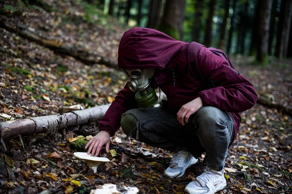 Guy Gas Mask Sits Middle Forest Touches Mushroom Nuclear War — 图库照片