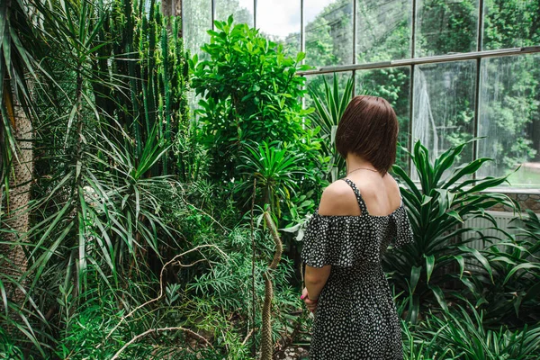 Girl Black Dress Standing Middle Greenhouse Exotic Plants — Zdjęcie stockowe