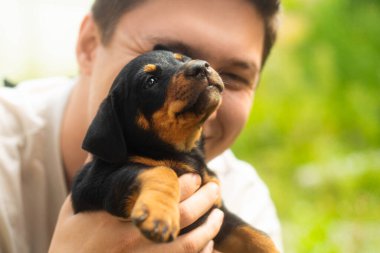 a young guy is playing with a black brown puppy dog