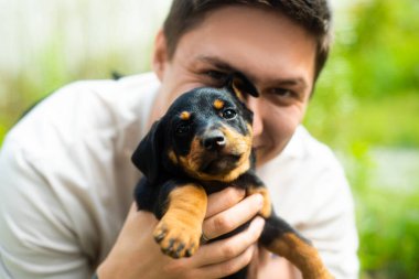 Genç bir adam siyah kahverengi bir köpek yavrusuyla oynuyor.