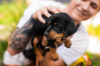 Genç bir adam siyah kahverengi bir köpek yavrusuyla oynuyor.