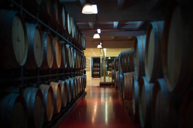 Gizemli şarap mahzeni. Şarap mahzenleri özel ilgiyi hak ediyor. Tepelerin yamaçlarına doğru kazılıp yeraltına iniyorlar. Girişleri, yazın çimen ve kışın kar ile kaplı olan üçgen bir çatı altında yer alıyor. Şey...