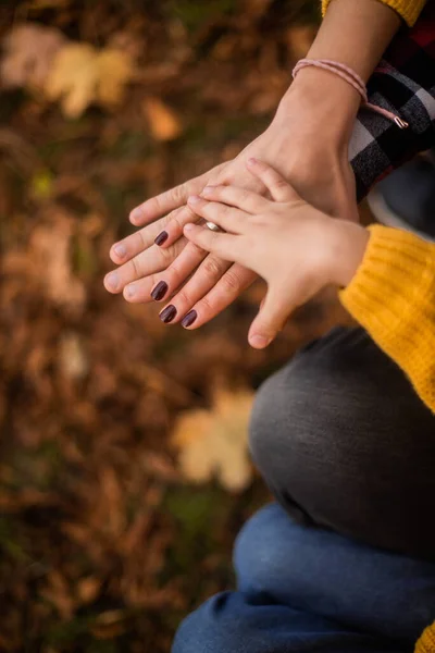 Aile Fotoğrafı Baba Anne Küçük Kızın Elleri Sonbahar Parkında Bir — Stok fotoğraf