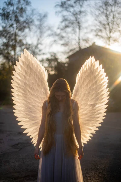 Молодая Нежная Ангелочка Стоит Перед Осенним Солнцем Белые Крылья Сияют Стоковое Фото