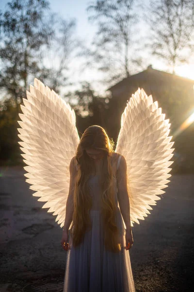 Jeune Fille Ange Doux Tient Devant Soleil Automne Ses Ailes Images De Stock Libres De Droits