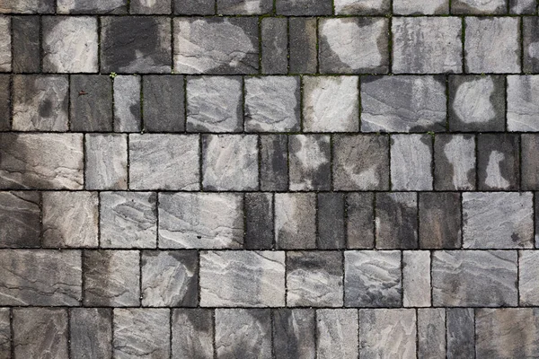 Perpendicular View Rectangular Stone Tile Pavement Various Sizes Rain — Stock fotografie