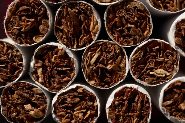 front view from the tobacco side of a pile of cigarettes lined up