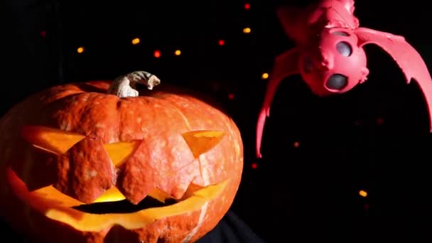 Halloween Jack Calabaza Murciélago Rojo Sobre Fondo Negro — Vídeo de stock