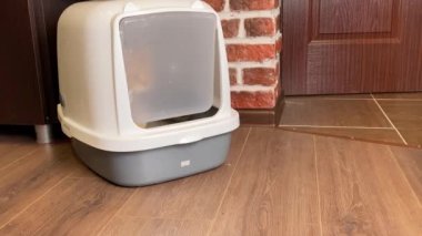 Çöp kutusundan çıkan kedi dışkıdan sonra kapatıldı