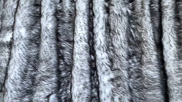 Gray Wolf Artificial Fur Background Texture Design Black White Fake — Stock Photo, Image