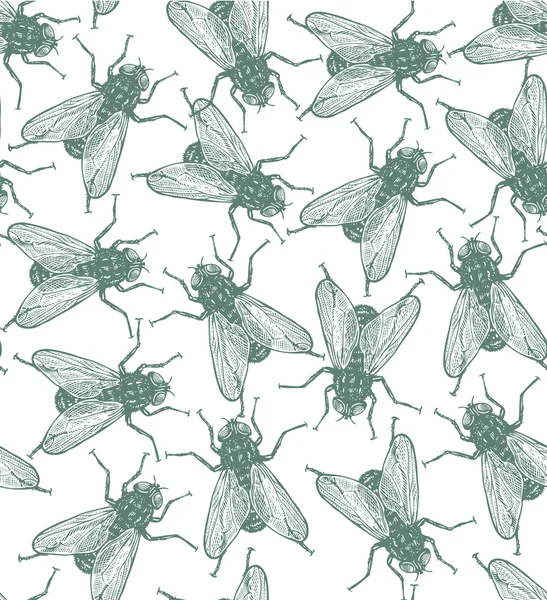 Seamless vector flies pattern in vintage engraved style — Stock Vector