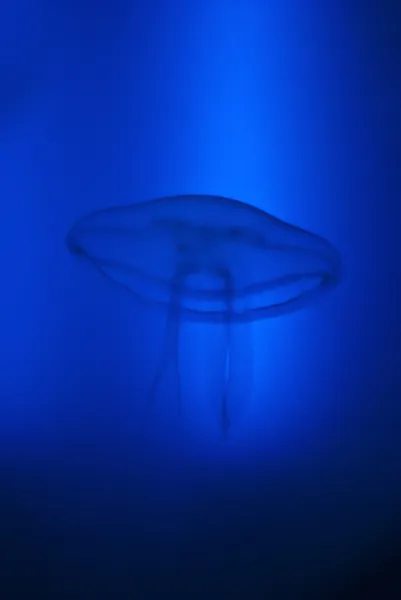 Océano Azul —  Fotos de Stock