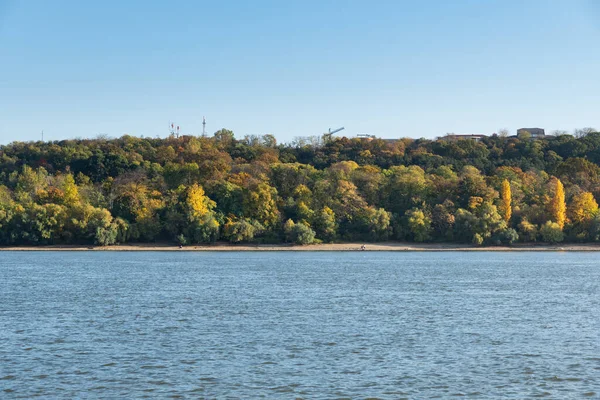 Vue Sur Les Arbres Dans Parc Kamenicki Novi Sad Serbie — Photo