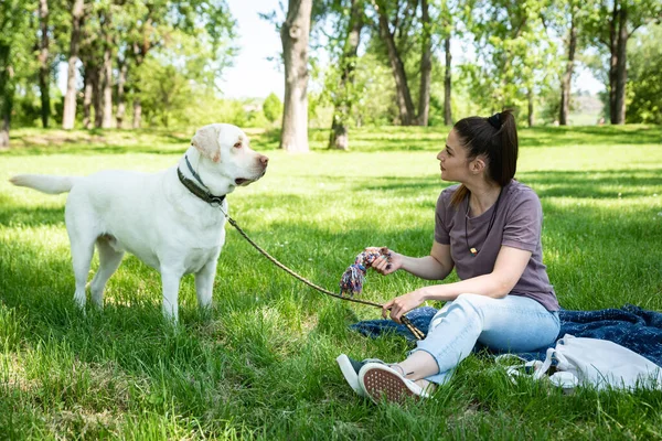 Jovem Mulher Bonita Parque Com Seu Cão Estimação Branco Labrador — Fotografia de Stock