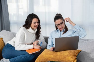 İki genç kadın, küçük işletme sahipleri ve ortakları. Ev tasarımcıları olarak çalışıyorlar. Müşteriler için yeni ev tasarımı fikirleri üretiyorlar. İş hakkında düşünen ve danışmanlık yapan kadınlar.