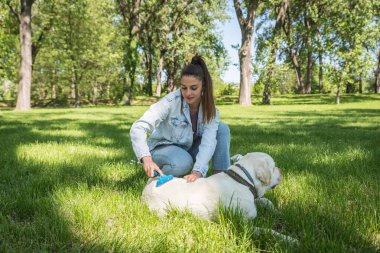 Genç, güzel, gülümseyen bir kadın köpeğinin keyfini çıkarırken altın ya da beyaz Labrador köpek kürkünü parkta tımar ediyor.