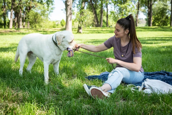 Jovem Mulher Bonita Parque Com Seu Cão Estimação Branco Labrador — Fotografia de Stock