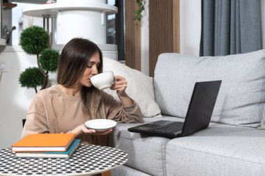 Genç kadın serbest yazılım ve web geliştirici programcı evden dizüstü bilgisayarla çalışıyor. İnternet ve rezervasyon ödeyen müşteriler için yeni bilgisayar ve cep telefonu uygulaması geliştiren kadın işadamı