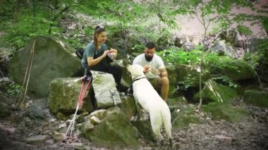 Genç yürüyüşçüler, dağ ormanlarındaki kayalıklarda oturmuş köpekleri onları izlerken arada bir sandviç yiyorlar. Doğa aşıkları ormanda yürüyüp öğle yemeği yiyorlar..