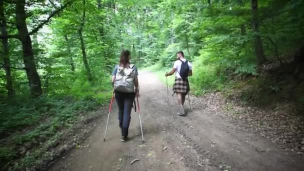 森の中をハイキングしている若い幸せなカップルと彼らの犬は景色を楽しんでいます 山の森の中の2人の自然愛好家は 自然の中を歩くことを楽しむ フィルム穀物選択的焦点で — ストック動画