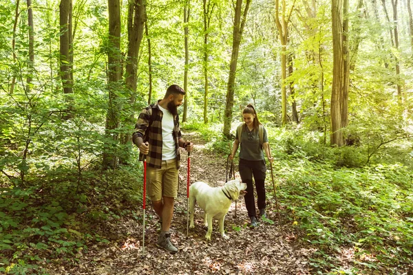 Young happy couple and their dog at hiking through the woods enjoying the sight. Two nature lovers in the mountain forest enjoy healthy walking through the nature. With film grain