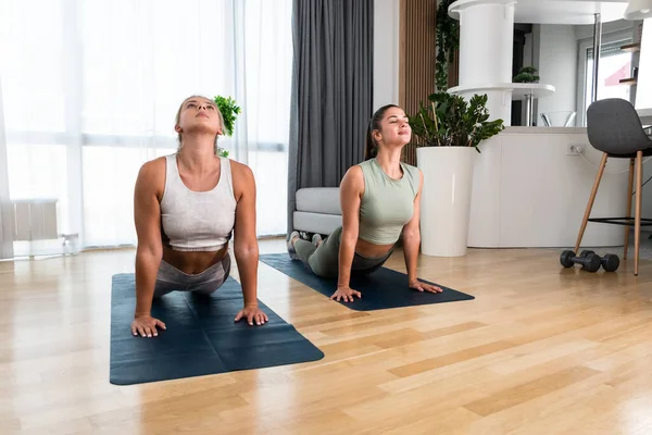 Two young colleagues, roommates, friends or lesbian couple workout yoga together stretching muscles in their apartment as relaxing breathing exercise for happy and healthy life.