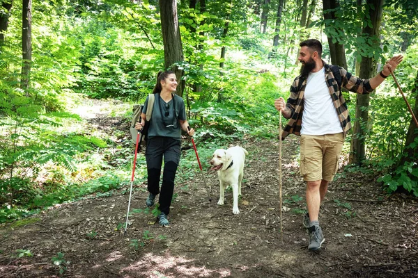 Young happy couple and their dog at hiking through the woods enjoying the sight. Two nature lovers in the mountain forest enjoy healthy walking through the nature. With film grain selective focus