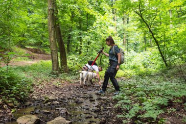 Genç mutlu çift ve köpekleri ormanda yürüyüş yaparken manzaranın tadını çıkarıyorlar. Dağ ormanlarındaki iki doğa aşığı doğada sağlıklı bir şekilde yürümekten zevk alır. Film tanecikleri seçici odak ile