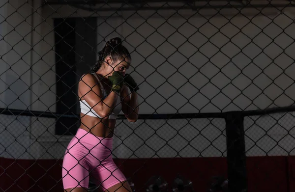 Молода Жінка Або Дівчина Змішаних Бойових Мистецтв Тренування Боксерів Клітці — стокове фото