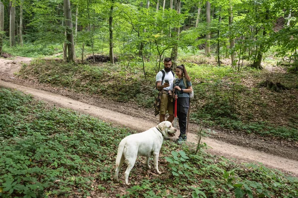 Young happy couple and their dog at hiking through the woods exploring and enjoying the sight. Two nature lovers in the mountain forest enjoy healthy walking through the nature. Selective focus