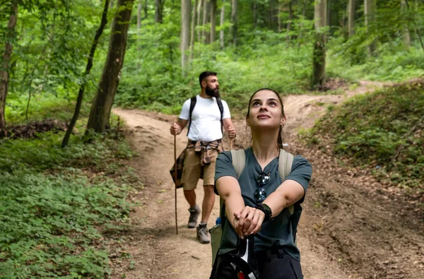 Young happy couple and their dog at hiking through the woods exploring and enjoying the sight. Two nature lovers in the mountain forest enjoy healthy walking through the nature. Selective focus
