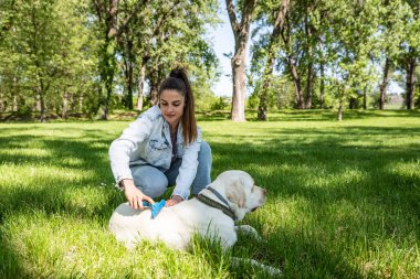 Genç bir kadın, hayvan kurtarma merkezinden Labrador Retriever adlı köpeği evlat edindi ve ona sevgi ve dostluk verdi. Dişi hayvan sever köpek yavrusuyla parkta vakit geçiriyor..