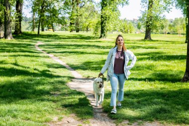 Genç bir kadın, hayvan kurtarma merkezinden Labrador Retriever adlı köpeği evlat edindi ve ona sevgi ve dostluk verdi. Dişi hayvan sever köpek yavrusuyla parkta vakit geçiriyor..