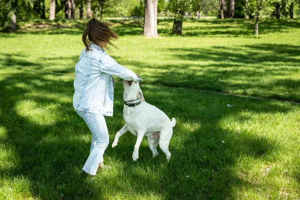 Mulher Jovem Adotar Cão Jovem Labrador Retriever Centro Resgate Animal — Fotografia de Stock