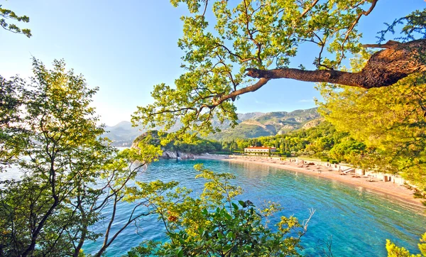 Beautiful beach, Mediterranean sea (Italy) — Stock Photo, Image