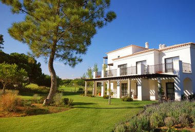 White luxury villa, lawn and pine